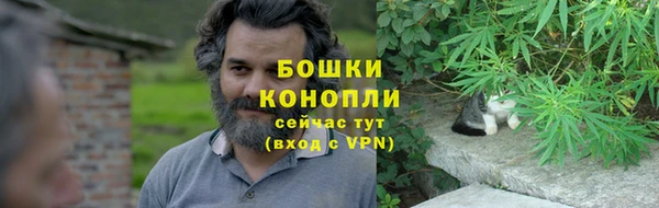 СК Бронницы