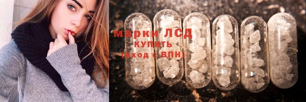 гидропоника Бородино