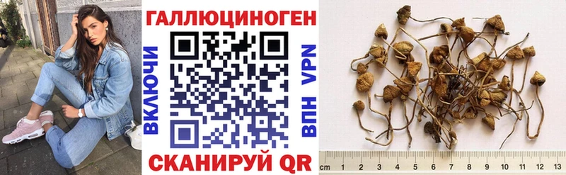 Псилоцибиновые грибы мицелий  Купить закладки  Лесозаводск 
